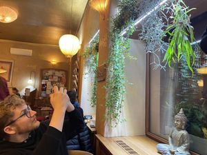   at Maitrea in Prague