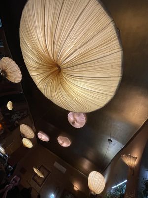 Lucious artful plant filled space  at Maitrea in Prague