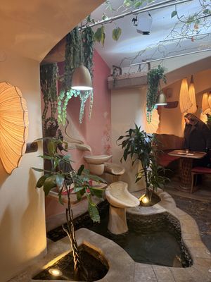   at Maitrea in Prague