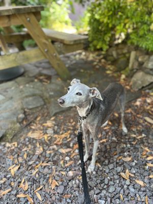   at Brambles in Inveraray