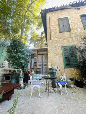   at Grön Vegan Yard in Nicosia