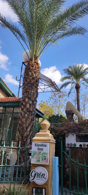  at Grön Vegan Yard in Nicosia