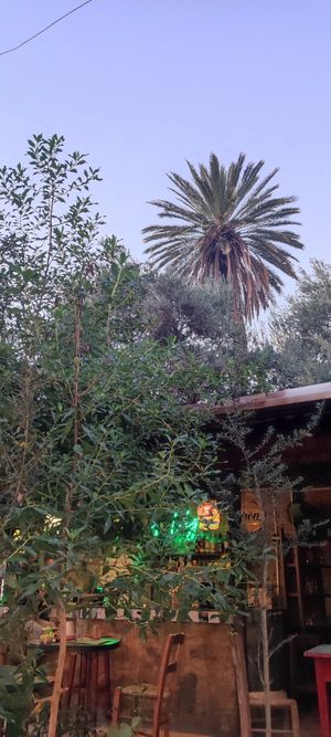  at Grön Vegan Yard in Nicosia