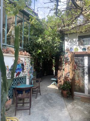   at Grön Vegan Yard in Nicosia