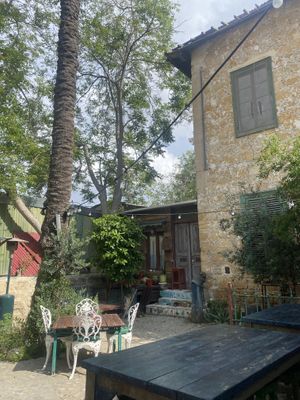   at Grön Vegan Yard in Nicosia