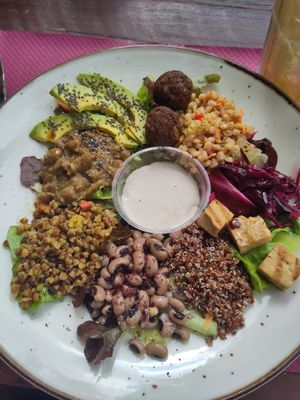  at Grön Vegan Yard in Nicosia