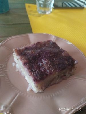  at Grön Vegan Yard in Nicosia