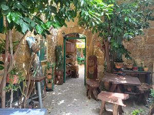  at Grön Vegan Yard in Nicosia