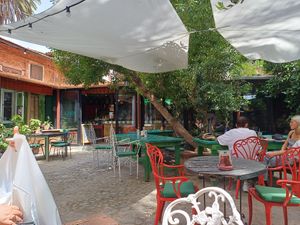  at Grön Vegan Yard in Nicosia