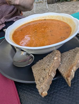  at Grön Vegan Yard in Nicosia