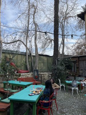   at Grön Vegan Yard in Nicosia