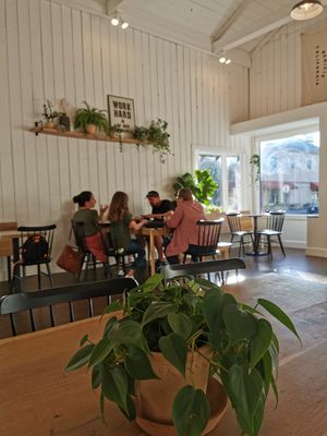 Good for gathering at Farm & Flour in Benicia