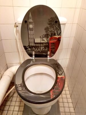 Noteworthy toilet at Ô Saveurs de l'Inde in Saumur