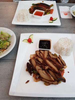 Crispy duck at SU in Klagenfurt