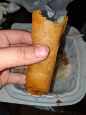 Big spring rolls! at Good Fortune Cafe in Gaithersburg