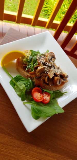Breaky avocado & mushroom sourdough 😁 at The Barn on Flaxton in Sunshine Coast