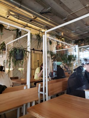  at Fauna & Flora in Lisbon