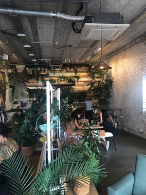 The place  at Fauna & Flora in Lisbon