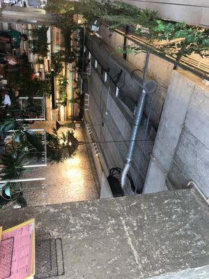 The place  at Fauna & Flora in Lisbon