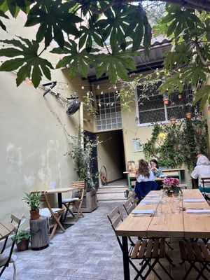   at Aromaticus - Trastevere in Rome