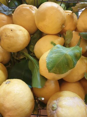 Décor at Aromaticus - Trastevere in Rome