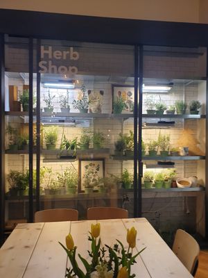 Inside at Aromaticus - Trastevere in Rome