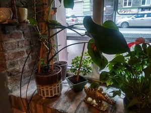 new location at Planta Bistro in Poznan