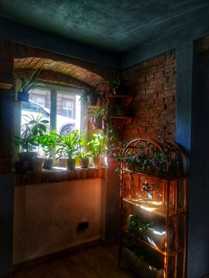 new location at Planta Bistro in Poznan