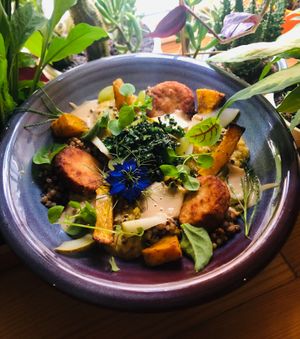 autumn bowl at Planta Bistro in Poznan