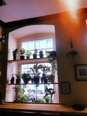 Small but really cozy and friendly place.  at Planta Bistro in Poznan