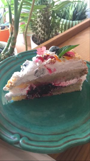 Gratis anniversary cake  at Planta Bistro in Poznan