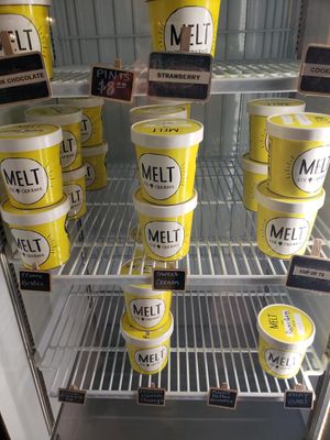 Togo at Melt Ice Creams in Dallas