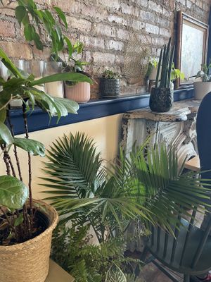 Cafe interior   at Charmers Cafe in Chicago