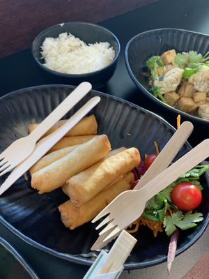 Vegan springrolls 🌱  at CPH - WOK - T2 in Kastrup