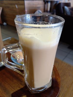  at Jippies Kattencafe in Haarlem