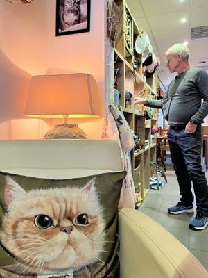 Catshop also available  at Jippies Kattencafe in Haarlem