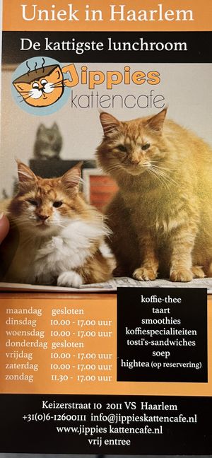 Leaflet  at Jippies Kattencafe in Haarlem