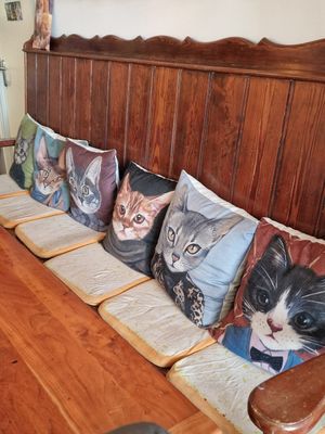  at Jippies Kattencafe in Haarlem