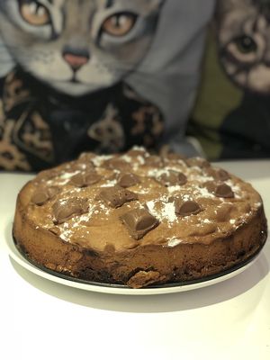 Cadburry’s sticky cake  at Jippies Kattencafe in Haarlem