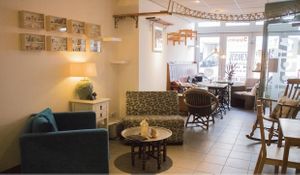 Catcafe  at Jippies Kattencafe in Haarlem