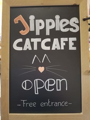 Jippies catcafe at Jippies Kattencafe in Haarlem