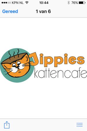 Catcafe Jippies at Jippies Kattencafe in Haarlem