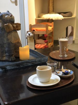 Time for a drink  at Jippies Kattencafe in Haarlem
