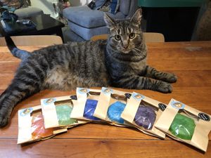 Little presents to take home for the cat-sitter.  at Jippies Kattencafe in Haarlem