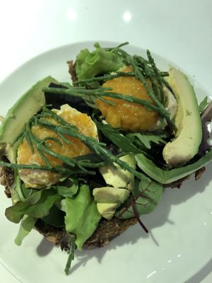 Hummus sandwich with mangochutney, avocado, lettuce and samphire.  at Jippies Kattencafe in Haarlem