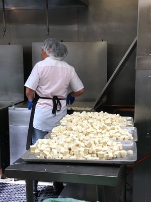 Tofu slabs after being cut up at Hodo in Oakland