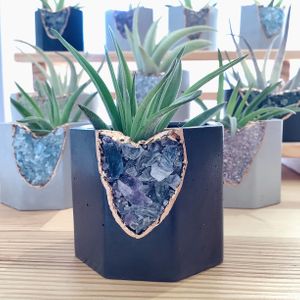 Geode planters and air plants at Peace in Naperville