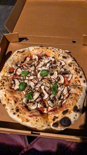 Fungi pizza at Plant A Pizza in Ghent