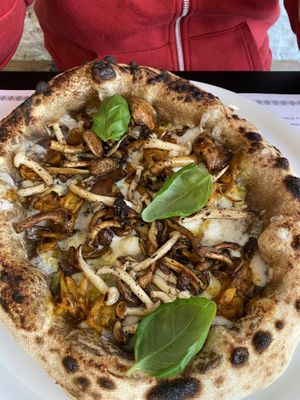 Foresta pizza  at Plant A Pizza in Ghent