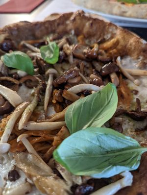  at Plant A Pizza in Ghent